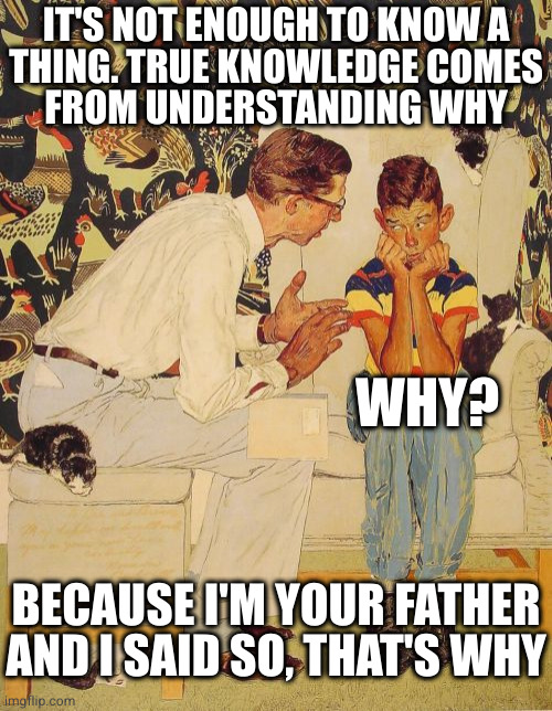 How to flunk Parenting 101 | IT'S NOT ENOUGH TO KNOW A
THING. TRUE KNOWLEDGE COMES
FROM UNDERSTANDING WHY; WHY? BECAUSE I'M YOUR FATHER AND I SAID SO, THAT'S WHY | image tagged in memes,the problem is | made w/ Imgflip meme maker