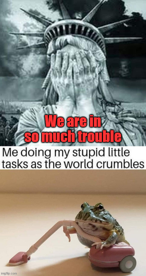 We are in so much trouble | image tagged in shameful usa,political meme | made w/ Imgflip meme maker