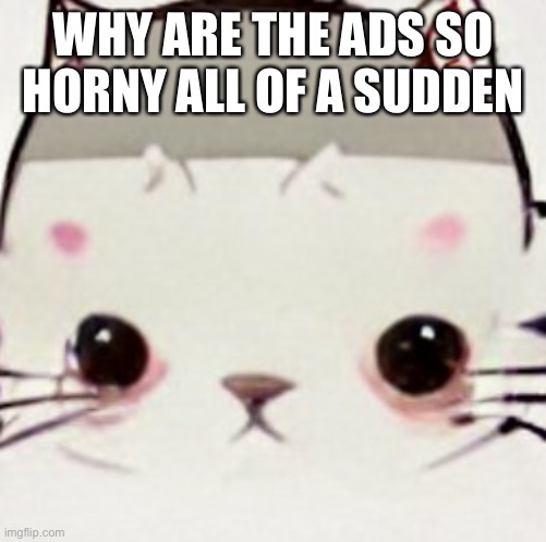 hoes zad | WHY ARE THE ADS SO HORNY ALL OF A SUDDEN | image tagged in hoes zad | made w/ Imgflip meme maker