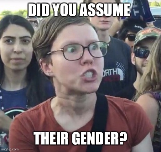 Triggered feminist | DID YOU ASSUME THEIR GENDER? | image tagged in triggered feminist | made w/ Imgflip meme maker