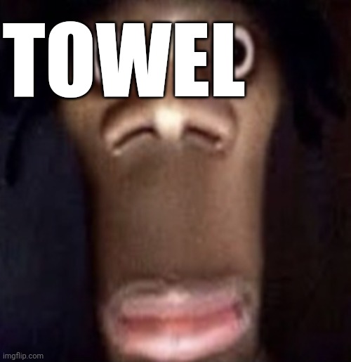 Low quality bullshit | TOWEL | image tagged in quandale dingle,idk | made w/ Imgflip meme maker