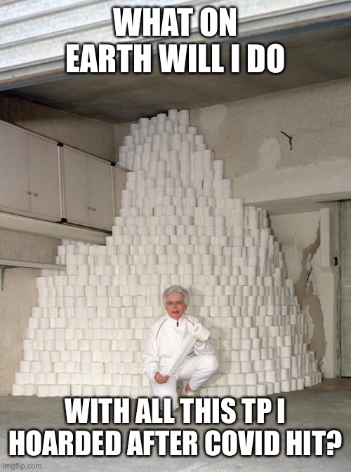 mountain of toilet paper | WHAT ON EARTH WILL I DO WITH ALL THIS TP I HOARDED AFTER COVID HIT? | image tagged in mountain of toilet paper | made w/ Imgflip meme maker
