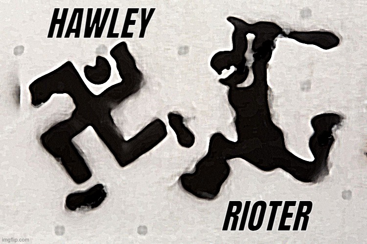 NAZI HAWLEY VS RIOTER HAHAHA |  HAWLEY; RIOTER | image tagged in josh hawley,vs,rioters,josh,bitch | made w/ Imgflip meme maker