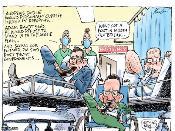 I know foot and mouth doesn't affect people but these politicians are a bunch of pigs | image tagged in greedy politicians,foot and mouth disease,daniel andrews,adam bandt,scott morrison | made w/ Imgflip meme maker
