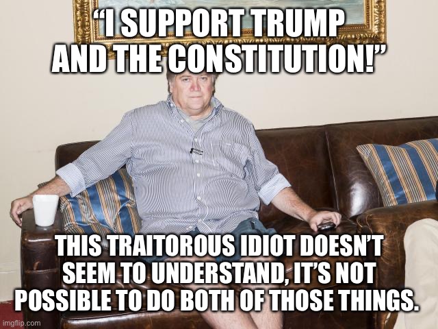 bannon | “I SUPPORT TRUMP AND THE CONSTITUTION!”; THIS TRAITOROUS IDIOT DOESN’T SEEM TO UNDERSTAND, IT’S NOT POSSIBLE TO DO BOTH OF THOSE THINGS. | image tagged in bannon | made w/ Imgflip meme maker