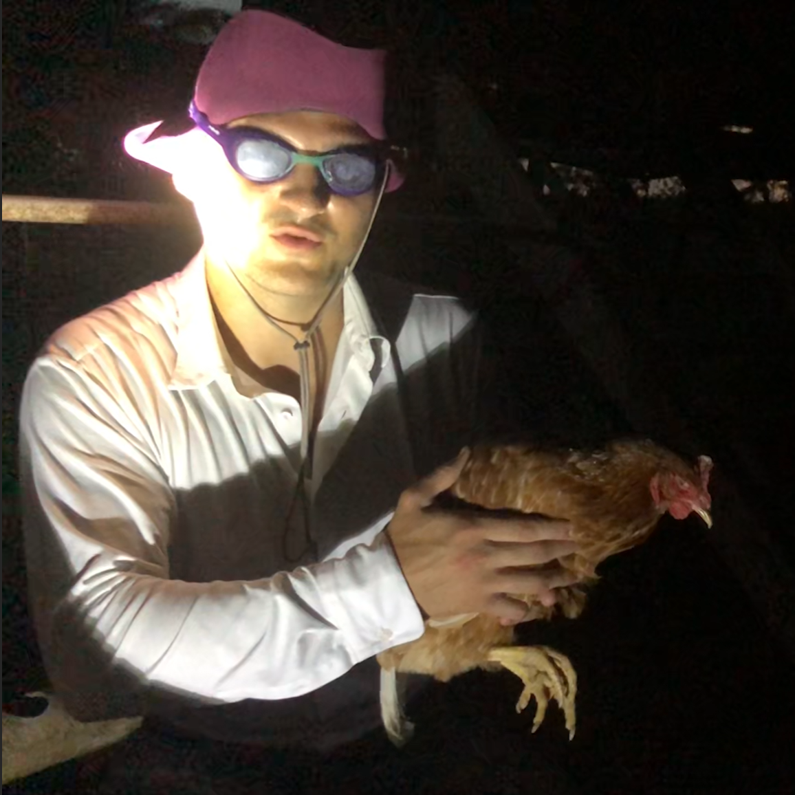 Chicken father Blank Meme Template