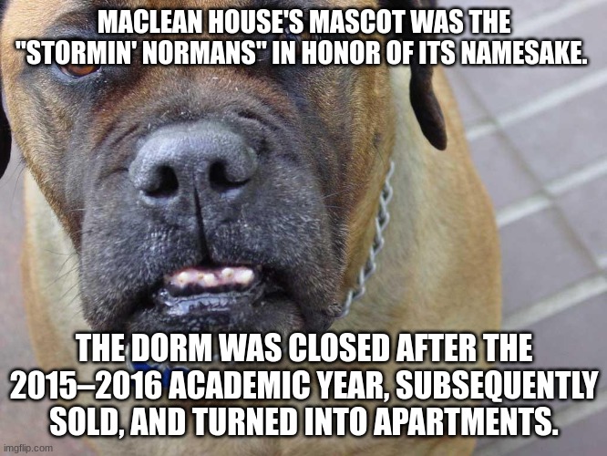 Stormin' Norman's | MACLEAN HOUSE'S MASCOT WAS THE "STORMIN' NORMANS" IN HONOR OF ITS NAMESAKE. THE DORM WAS CLOSED AFTER THE 2015–2016 ACADEMIC YEAR, SUBSEQUENTLY SOLD, AND TURNED INTO APARTMENTS. | image tagged in look | made w/ Imgflip meme maker