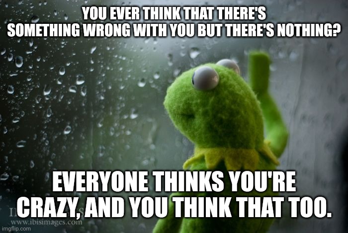 kermit window | YOU EVER THINK THAT THERE'S SOMETHING WRONG WITH YOU BUT THERE'S NOTHING? EVERYONE THINKS YOU'RE CRAZY, AND YOU THINK THAT TOO. | image tagged in kermit window | made w/ Imgflip meme maker