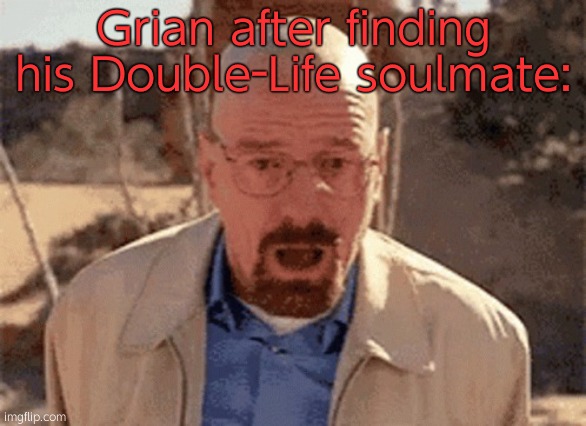 Walter White falling | Grian after finding his Double-Life soulmate: | image tagged in walter white falling | made w/ Imgflip meme maker