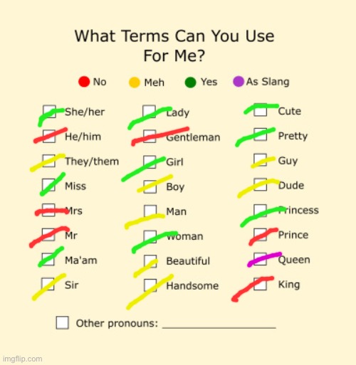 :) | image tagged in pronouns sheet | made w/ Imgflip meme maker