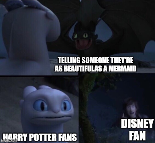 How to train your dragon 3 |  TELLING SOMEONE THEY'RE AS BEAUTIFULAS A MERMAID; DISNEY FAN; HARRY POTTER FANS | image tagged in how to train your dragon 3 | made w/ Imgflip meme maker