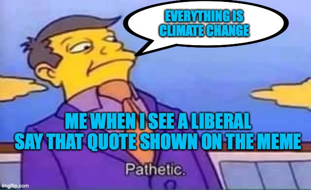 skinner pathetic | EVERYTHING IS CLIMATE CHANGE ME WHEN I SEE A LIBERAL SAY THAT QUOTE SHOWN ON THE MEME | image tagged in skinner pathetic | made w/ Imgflip meme maker