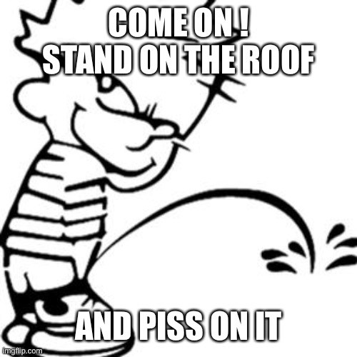 piss on you | COME ON ! STAND ON THE ROOF AND PISS ON IT | image tagged in piss on you | made w/ Imgflip meme maker