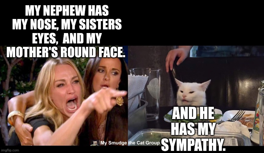 MY NEPHEW HAS MY NOSE, MY SISTERS EYES,  AND MY MOTHER'S ROUND FACE. AND HE HAS MY SYMPATHY. | image tagged in smudge the cat | made w/ Imgflip meme maker