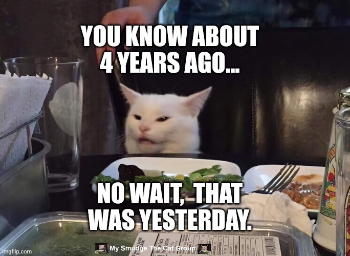 YOU KNOW ABOUT 4 YEARS AGO... NO WAIT,  THAT WAS YESTERDAY. | image tagged in smudge the cat | made w/ Imgflip meme maker