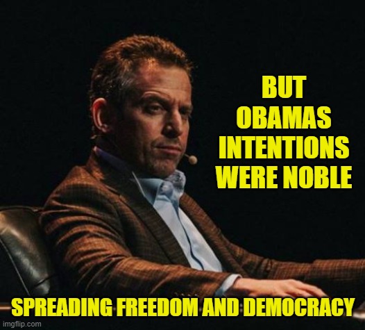 Sam Harris Eyebrow | BUT OBAMAS INTENTIONS WERE NOBLE SPREADING FREEDOM AND DEMOCRACY | image tagged in sam harris eyebrow | made w/ Imgflip meme maker
