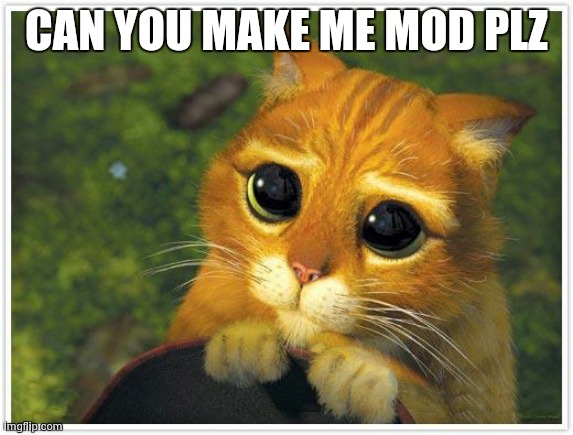 I will ban blue alts |  CAN YOU MAKE ME MOD PLZ | image tagged in memes,shrek cat | made w/ Imgflip meme maker