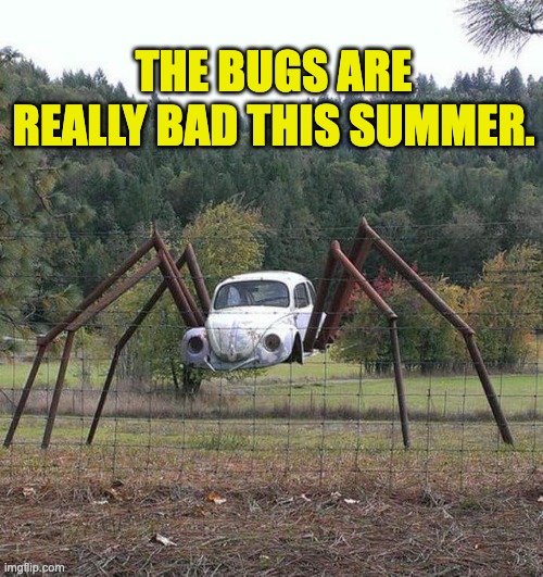Bugs | THE BUGS ARE REALLY BAD THIS SUMMER. | image tagged in bad pun | made w/ Imgflip meme maker