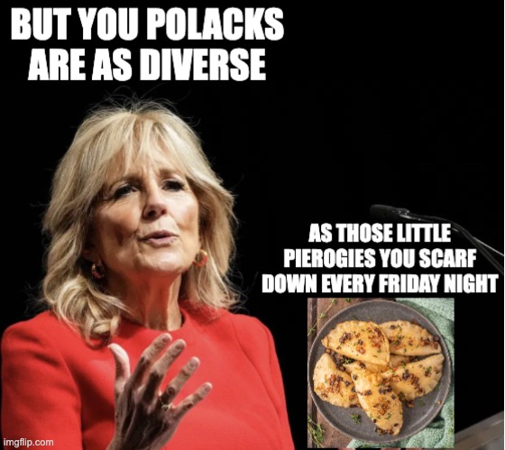 How To Endear Yourself To Certain Ethnic Groups | image tagged in jill biden,dr jill,suck up | made w/ Imgflip meme maker
