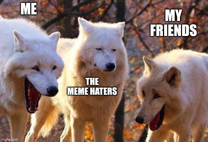 Laughing wolf | ME THE MEME HATERS MY FRIENDS | image tagged in laughing wolf | made w/ Imgflip meme maker