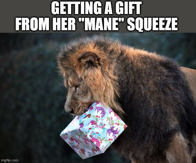 GETTING A GIFT FROM HER "MANE" SQUEEZE | image tagged in eye roll | made w/ Imgflip meme maker
