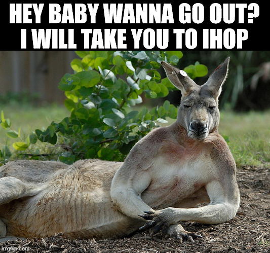 HEY BABY WANNA GO OUT? I WILL TAKE YOU TO IHOP | image tagged in eye roll | made w/ Imgflip meme maker