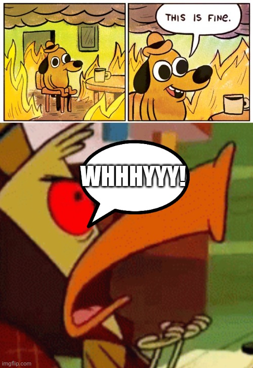 WHHHYYY! | image tagged in memes,this is fine,whhhyyy | made w/ Imgflip meme maker