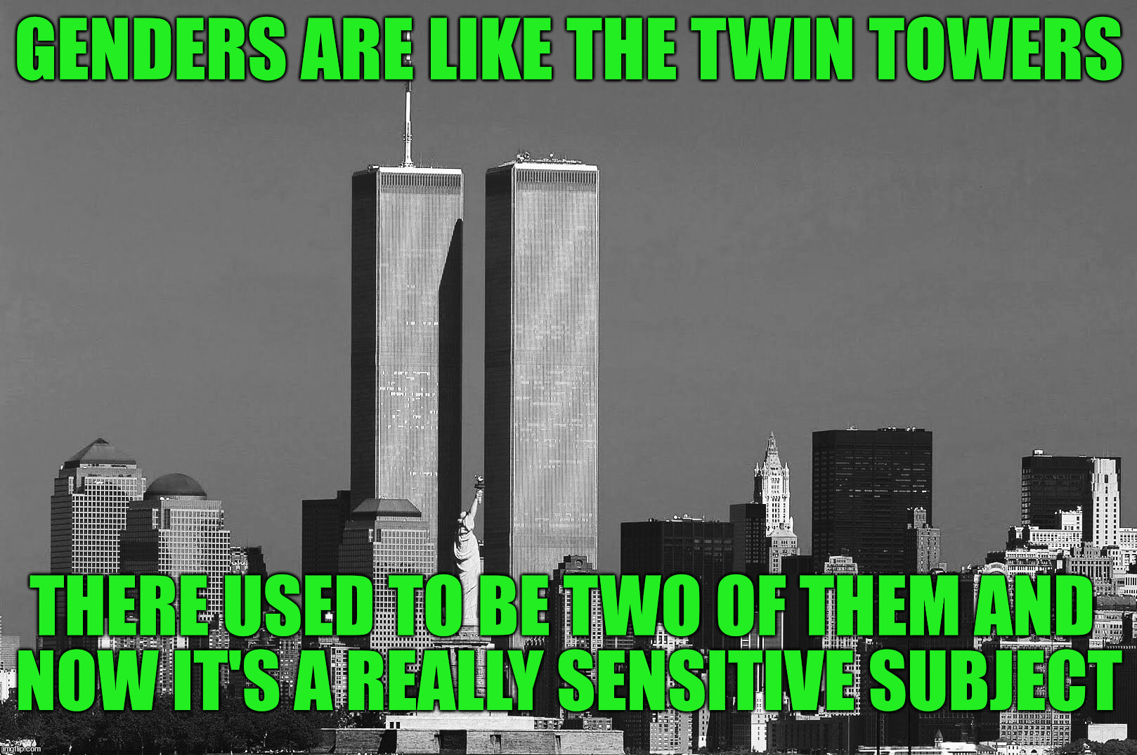 RIP twin towers | GENDERS ARE LIKE THE TWIN TOWERS; THERE USED TO BE TWO OF THEM AND 
NOW IT'S A REALLY SENSITIVE SUBJECT | image tagged in rip twin towers,political meme | made w/ Imgflip meme maker