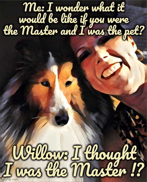 Master and Sheltie | Me: I wonder what it would be like if you were the Master and I was the pet? Willow: I thought I was the Master !? | image tagged in master,sheltie,role reversal | made w/ Imgflip meme maker