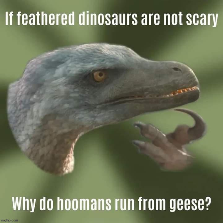 image tagged in repost | made w/ Imgflip meme maker