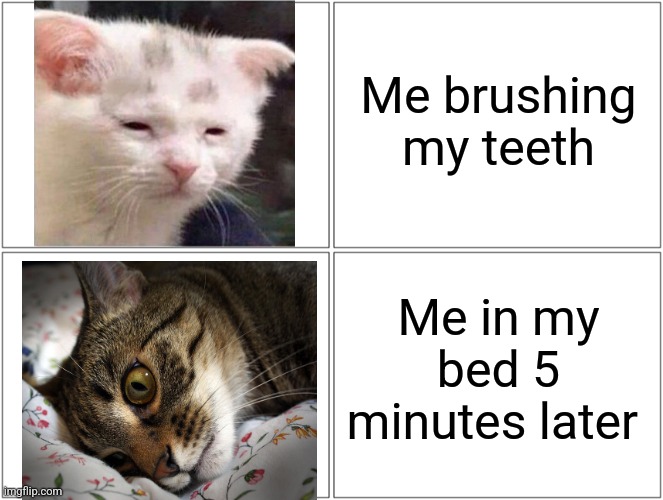 Blank Comic Panel 2x2 | Me brushing my teeth; Me in my bed 5 minutes later | image tagged in memes,funny,funny memes,sleep,relatable,cats | made w/ Imgflip meme maker