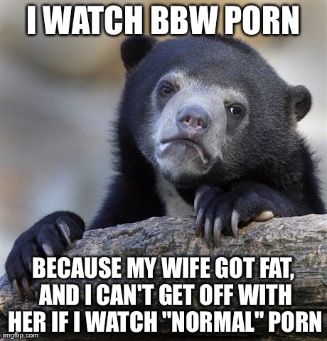 Confession Bear Meme | I WATCH BBW PORN BECAUSE MY WIFE GOT FAT, AND I CAN'T GET OFF WITH HER IF I WATCH "NORMAL" PORN | image tagged in memes,confession bear,AdviceAnimals | made w/ Imgflip meme maker