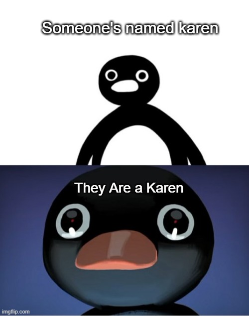 No No | Someone's named karen; They Are a Karen | image tagged in telepurte noot noot | made w/ Imgflip meme maker