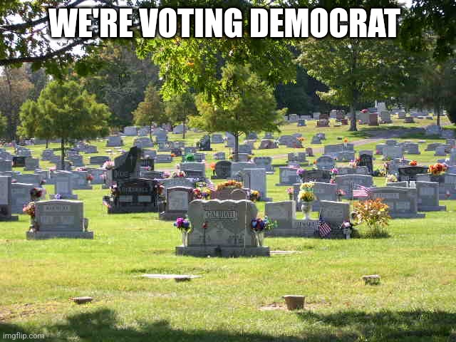 cemetery | WE'RE VOTING DEMOCRAT | image tagged in cemetery | made w/ Imgflip meme maker