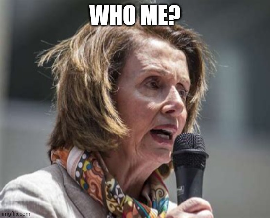 Crazy Nancy | WHO ME? | image tagged in crazy nancy | made w/ Imgflip meme maker