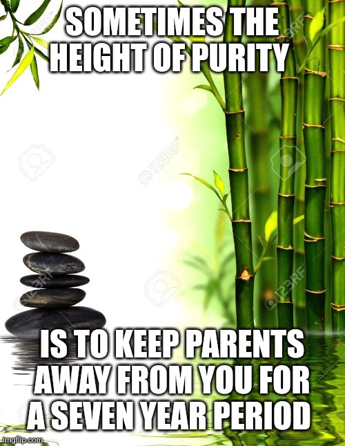 Purity | SOMETIMES THE HEIGHT OF PURITY; IS TO KEEP PARENTS AWAY FROM YOU FOR A SEVEN YEAR PERIOD | image tagged in spirituality | made w/ Imgflip meme maker