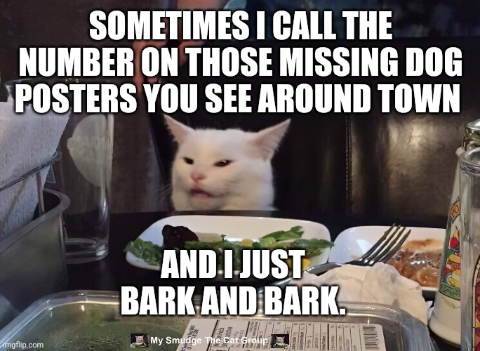 SOMETIMES I CALL THE NUMBER ON THOSE MISSING DOG POSTERS YOU SEE AROUND TOWN; AND I JUST BARK AND BARK. | image tagged in smudge the cat | made w/ Imgflip meme maker