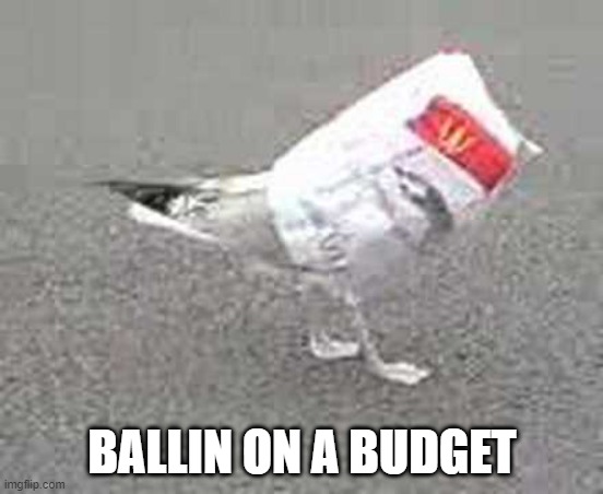 Ballin on a budget | BALLIN ON A BUDGET | image tagged in ballin on a budget | made w/ Imgflip meme maker