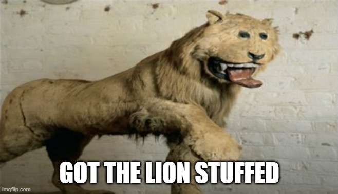 Taxi-failure | GOT THE LION STUFFED | image tagged in you had one job | made w/ Imgflip meme maker