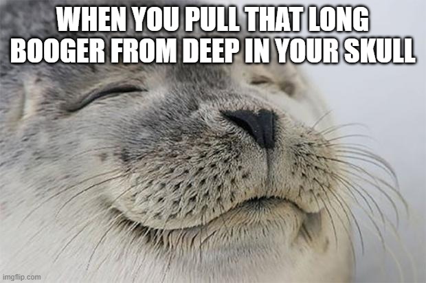 Satisfied Seal |  WHEN YOU PULL THAT LONG BOOGER FROM DEEP IN YOUR SKULL | image tagged in memes,satisfied seal,AdviceAnimals | made w/ Imgflip meme maker