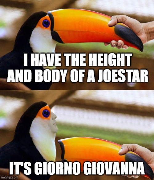 Joestar Body | I HAVE THE HEIGHT AND BODY OF A JOESTAR; IT'S GIORNO GIOVANNA | image tagged in toucan beak | made w/ Imgflip meme maker