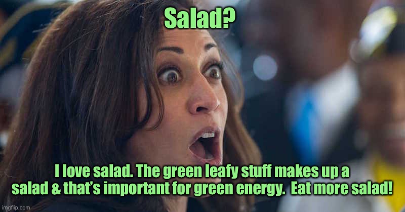kamala harriss | Salad? I love salad. The green leafy stuff makes up a salad & that’s important for green energy.  Eat more salad! | image tagged in kamala harriss | made w/ Imgflip meme maker