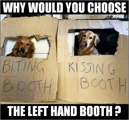 Decisions, Decisions ! | WHY WOULD YOU CHOOSE; THE LEFT HAND BOOTH ? | image tagged in dogs,biting,kissing,booth,decisions | made w/ Imgflip meme maker