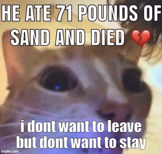 Bruh | i dont want to leave but dont want to stay | image tagged in he ate 71 pounds of sand and died | made w/ Imgflip meme maker