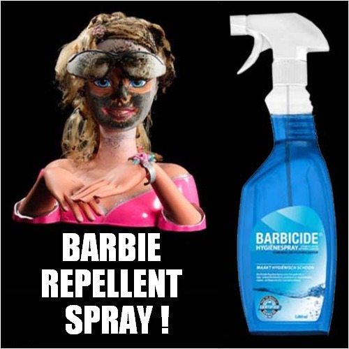 What Happened To Her Face ? | BARBIE REPELLENT   SPRAY ! | image tagged in barbie,repellent,spray | made w/ Imgflip meme maker