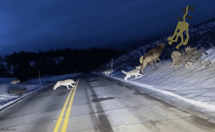 he finna steal the elk | made w/ Imgflip meme maker