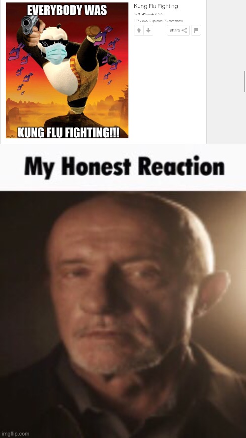 GoldCrusade is very funny | image tagged in my honest reaction | made w/ Imgflip meme maker