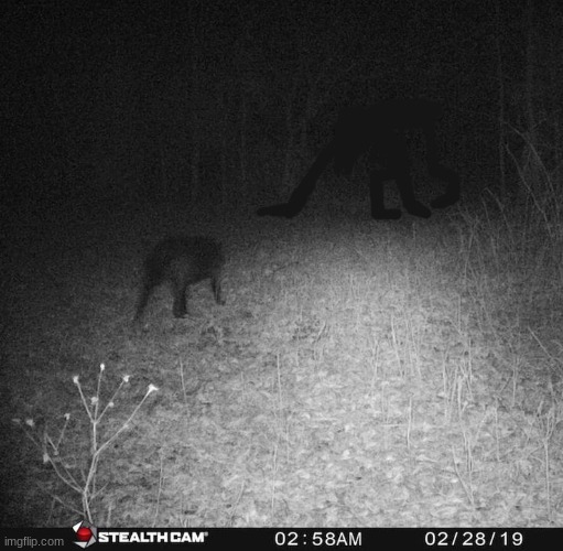 big charlie squaring off (big charlie drawing requested by Partygoer.) | made w/ Imgflip meme maker