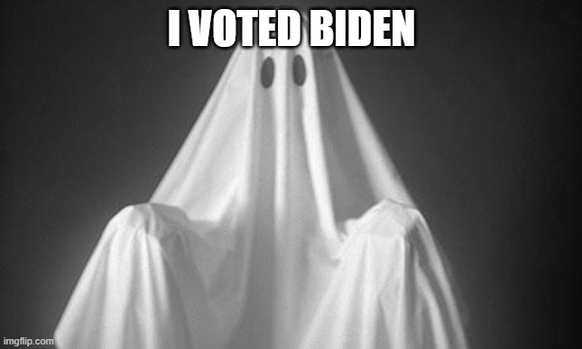 Ghost | I VOTED BIDEN | image tagged in ghost | made w/ Imgflip meme maker