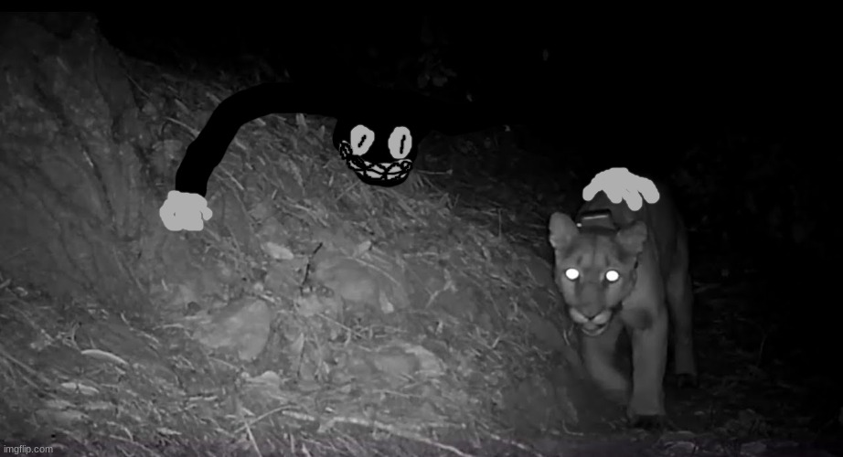 it's a cat-eat-cat world out there (cartoon cat drawing requested by Eggsman) | made w/ Imgflip meme maker